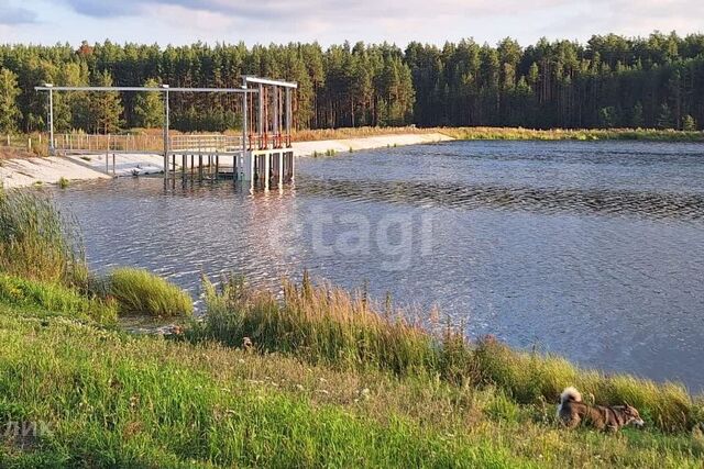 Волковское фото