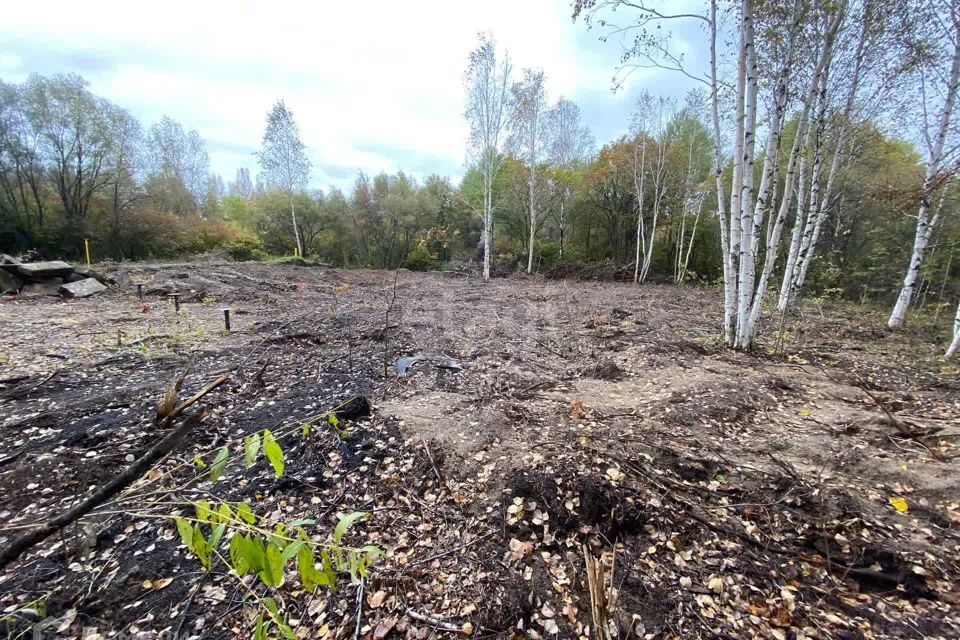 земля г Хабаровск Краснофлотский район, городской округ Хабаровск фото 3