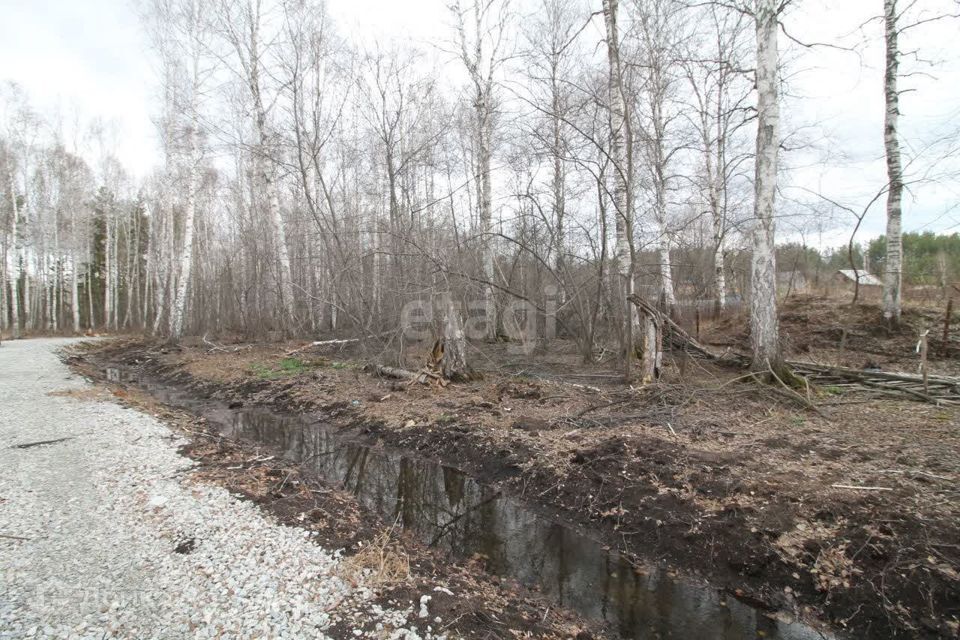 земля г Верхняя Пышма п Ольховка ул Апрельская 4 Верхняя Пышма городской округ фото 2