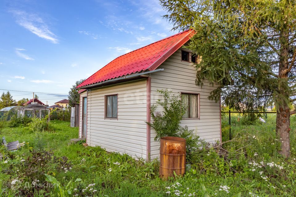 земля р-н Хабаровский СНТ Надежда-2 фото 5