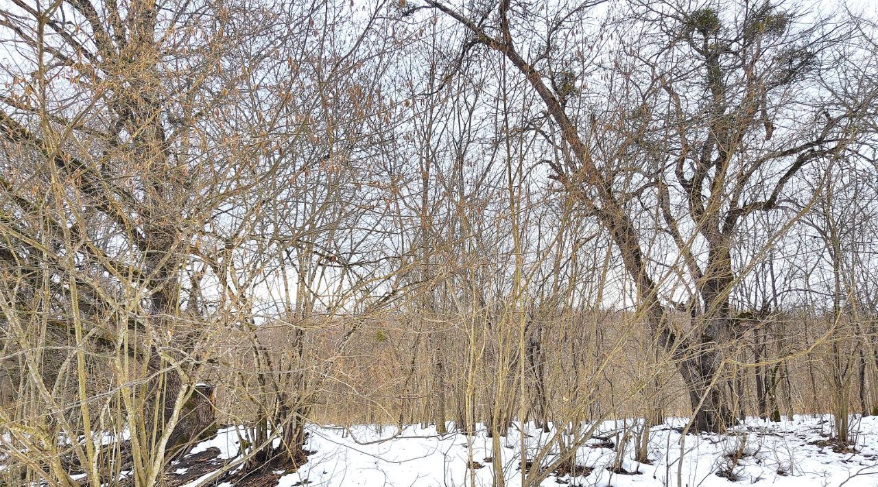 земля р-н Апшеронский ст-ца Нижегородская Нижегородское с/пос фото 3