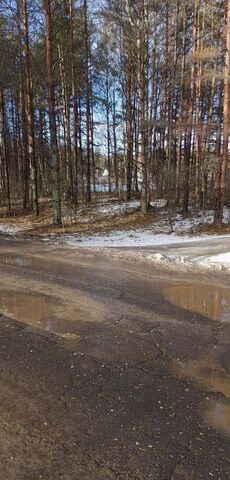 сельское поселение Некрасовское, Некрасовское фото