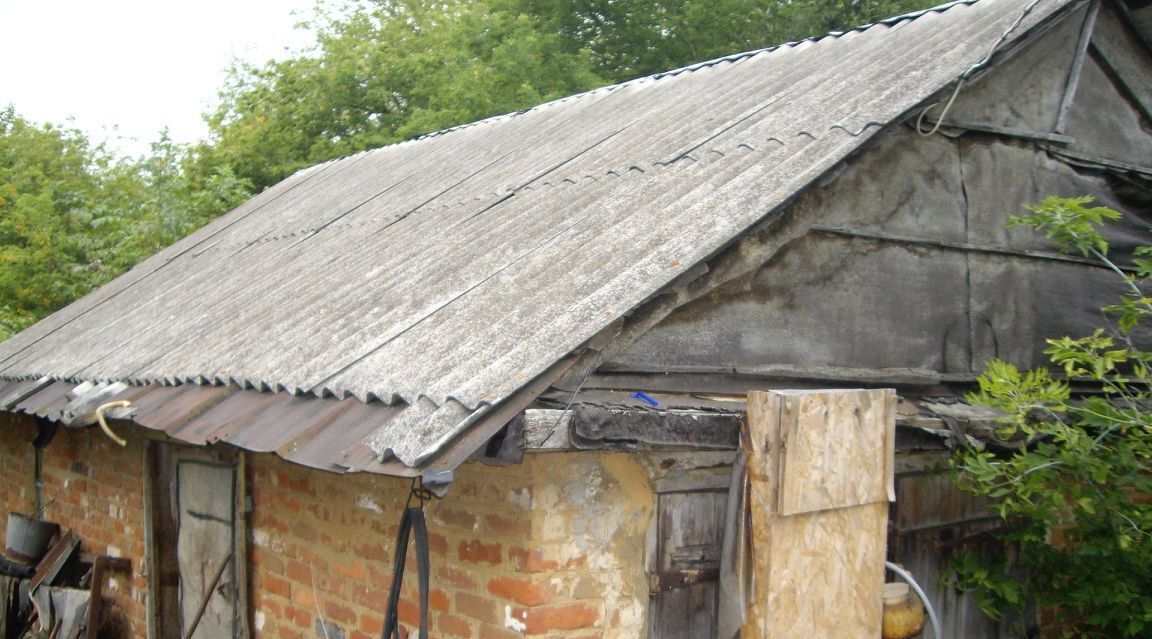 дом р-н Лев-Толстовский с Орловка ул Школьная Домачевский сельсовет фото 3