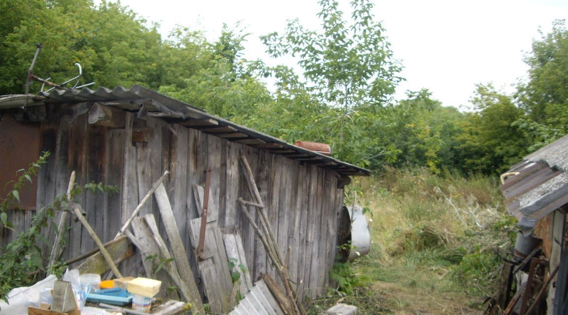 дом р-н Лев-Толстовский с Орловка ул Школьная Домачевский сельсовет фото 4