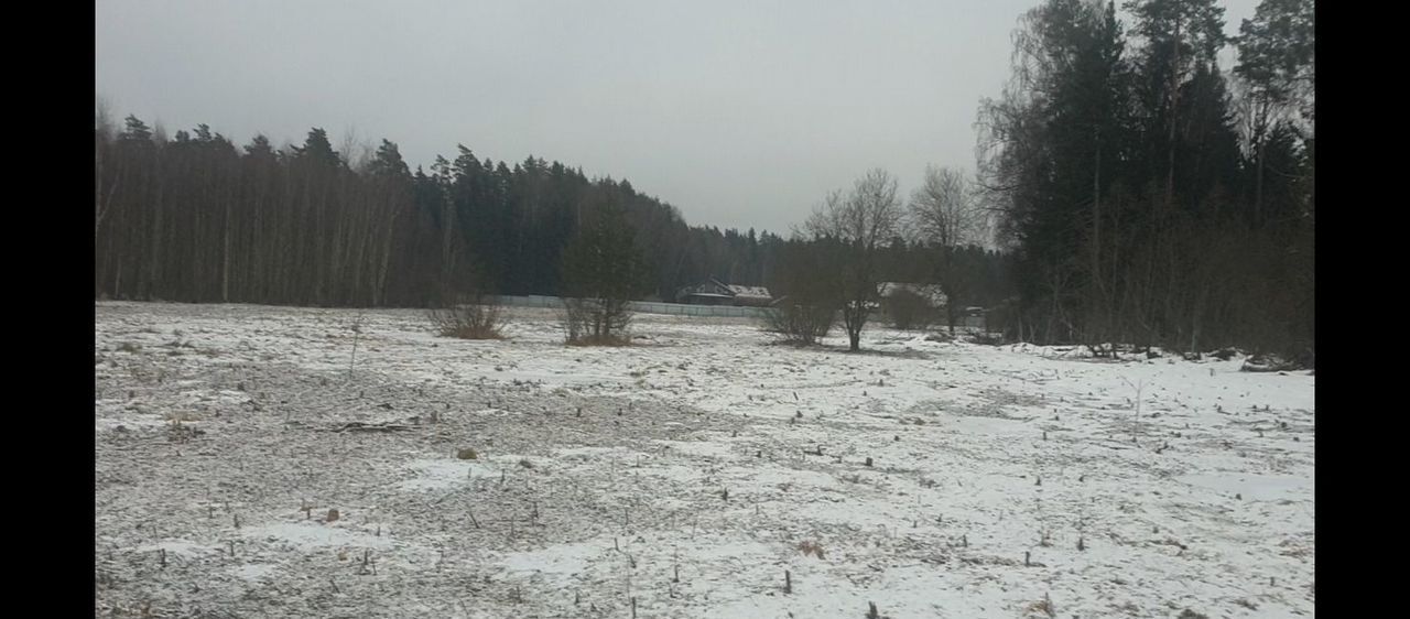 земля городской округ Солнечногорск 44 км, дп. Дом на Истре, 1-я аллея, Пятницкое шоссе фото 4