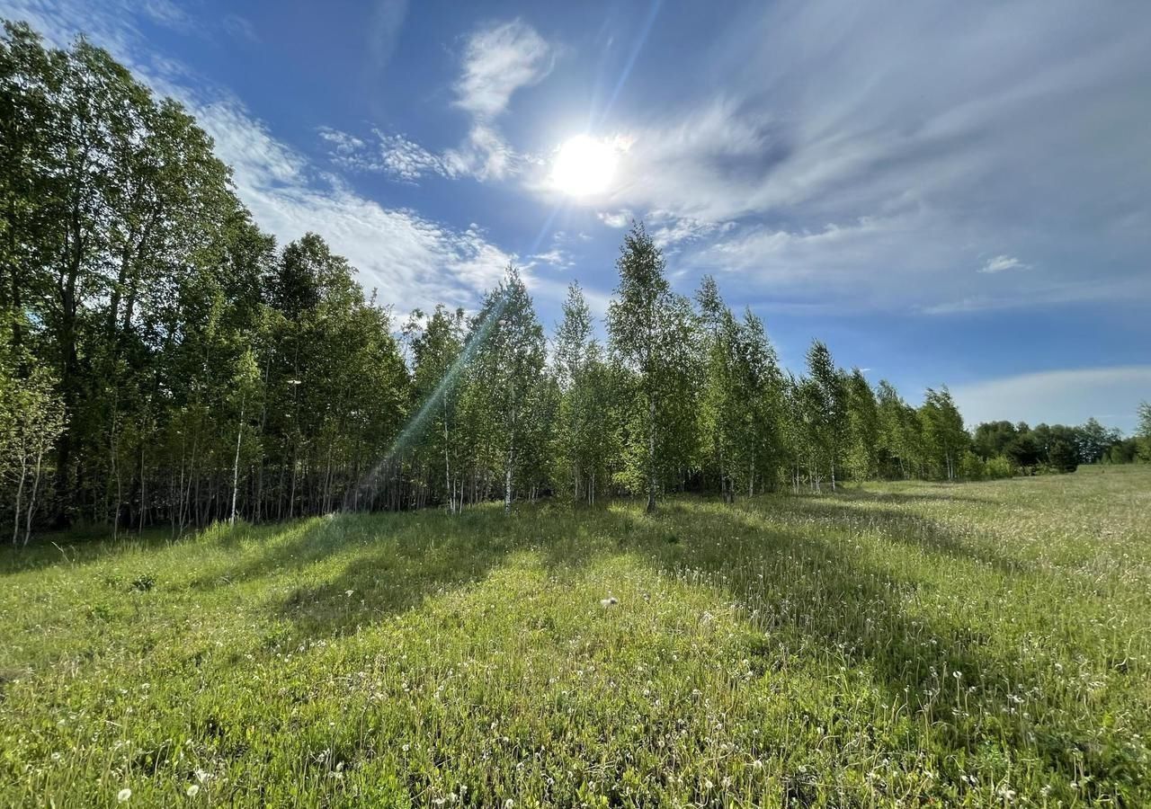 земля р-н Нижнетавдинский п Торгили Каскара фото 3