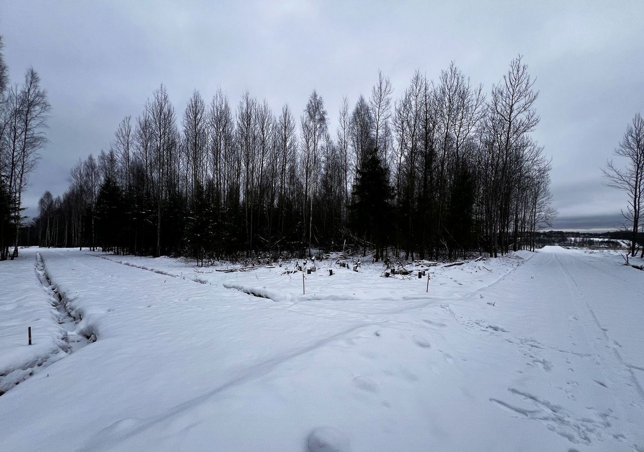 земля городской округ Дмитровский 30 км, территория объединения Дмитровка Светлая, 223, Менделеево, Рогачёвское шоссе фото 3