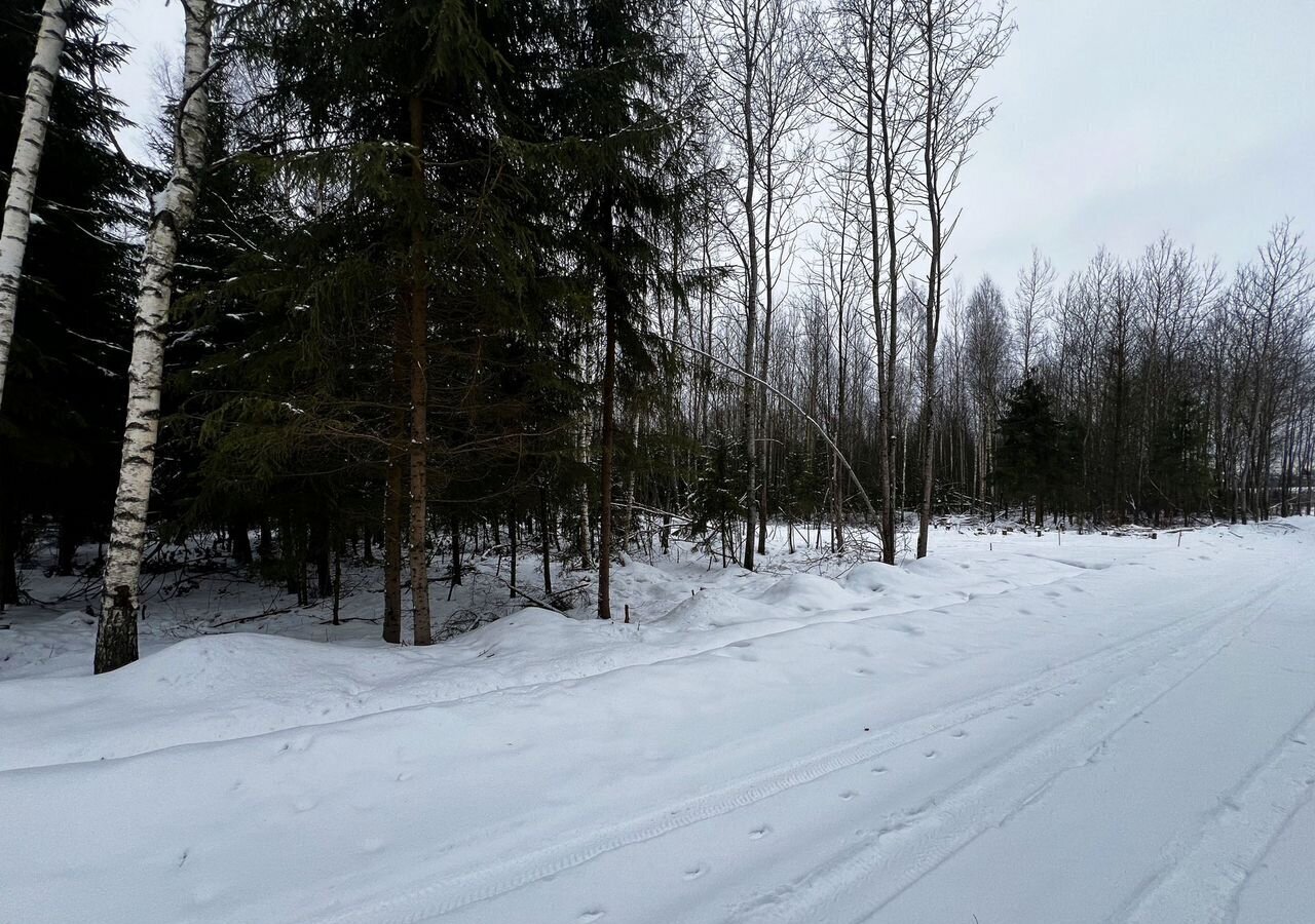 земля городской округ Дмитровский 30 км, территория объединения Дмитровка Светлая, 223, Менделеево, Рогачёвское шоссе фото 4