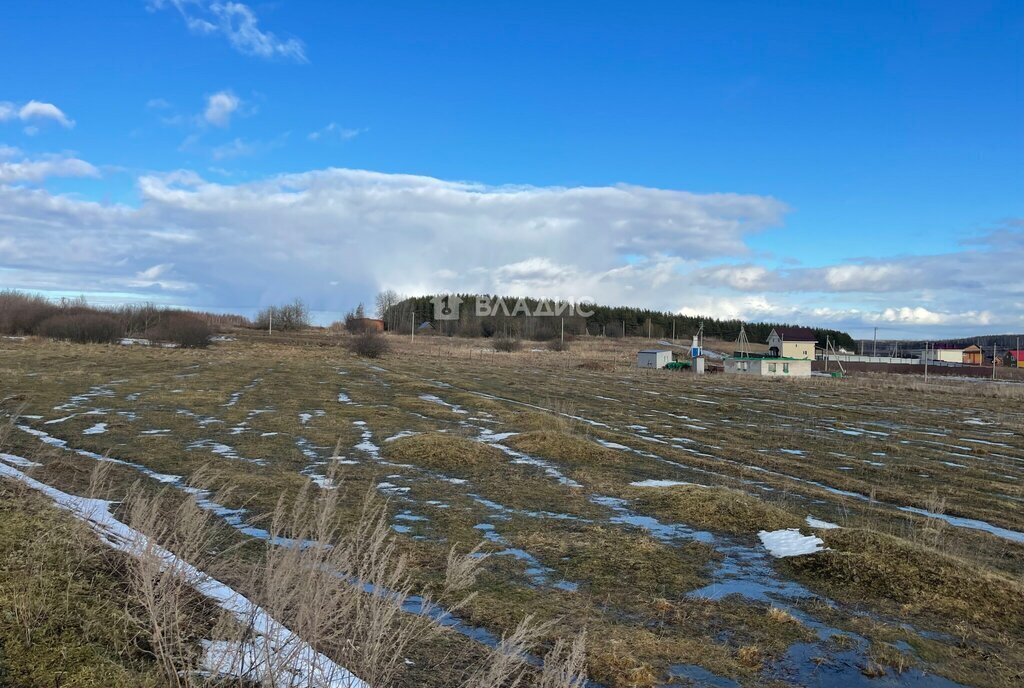 земля р-н Богородский д Инютино фото 1