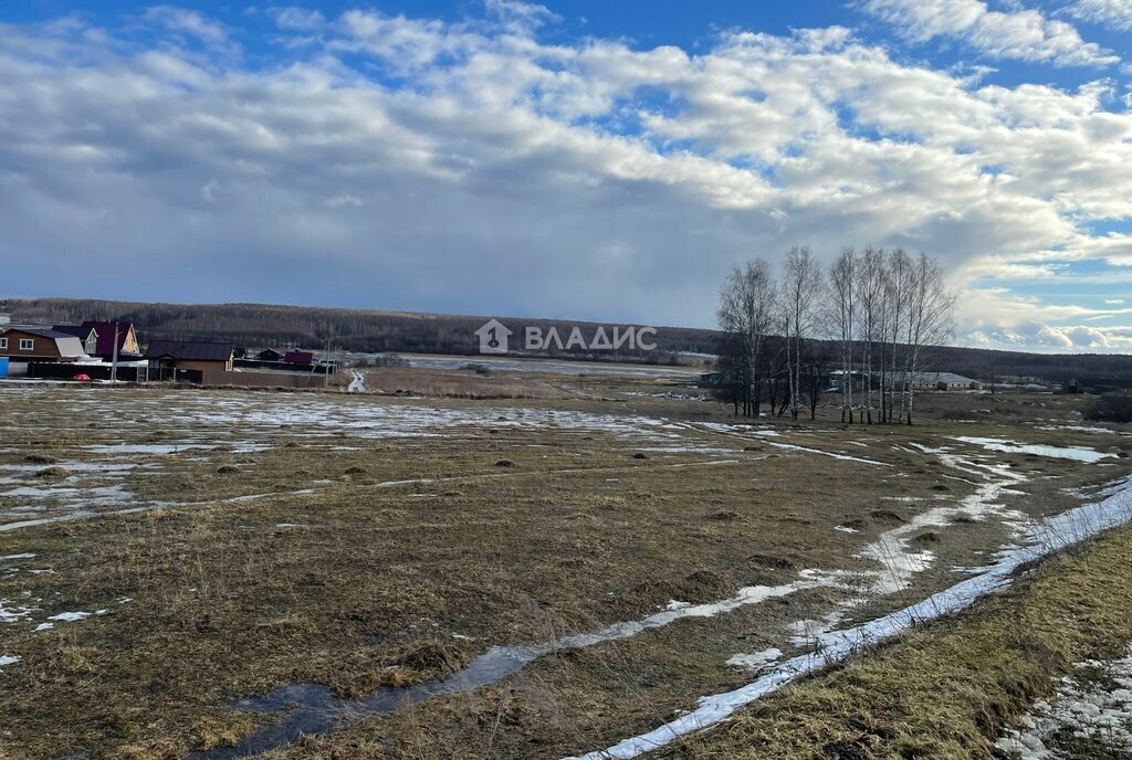 земля р-н Богородский д Инютино фото 4