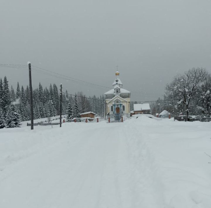 дом р-н Чойский с Чоя фото 2