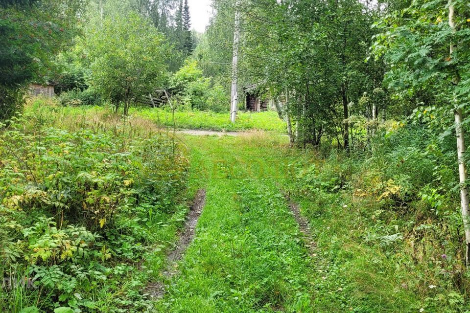 земля городской округ Ревда, посёлок Гусевка фото 1