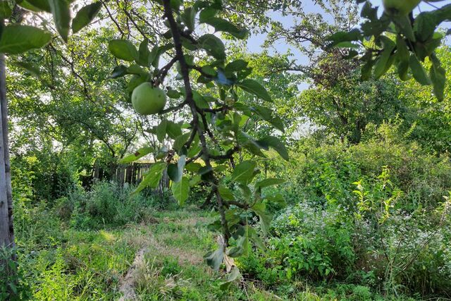 п Юбилейный Армавир городской округ, СТ Юбилейное фото