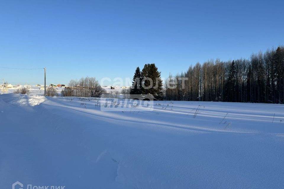 земля р-н Завьяловский деревня Красный Кустарь фото 1