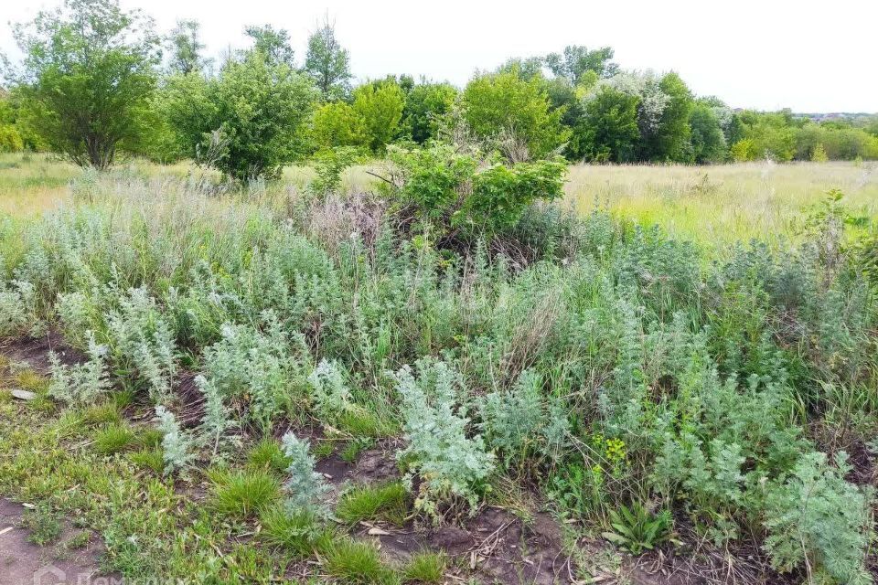 земля г Белгород Белгород городской округ, СТ Строитель фото 4