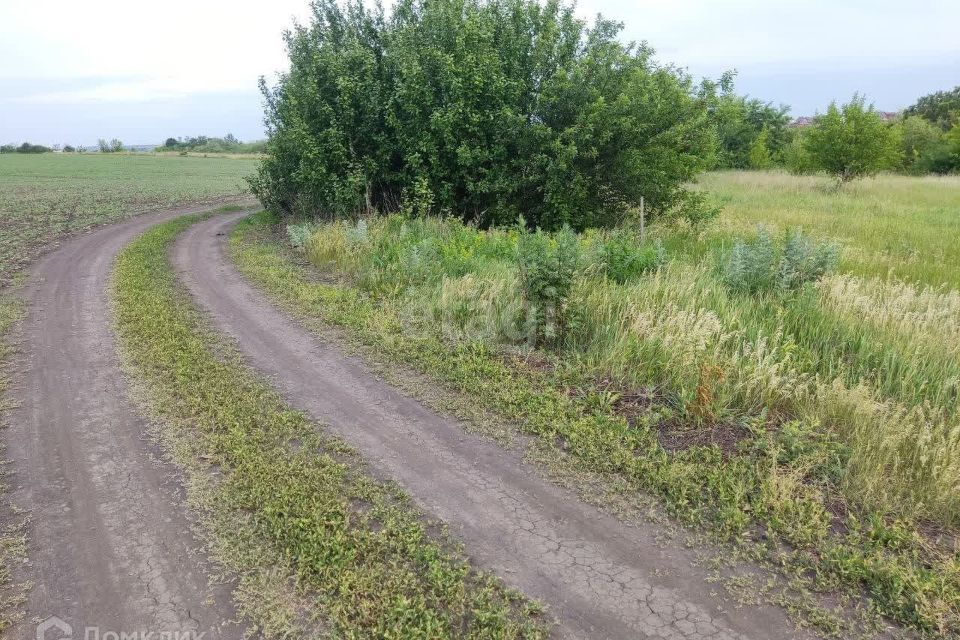 земля г Белгород Белгород городской округ, СТ Строитель фото 6