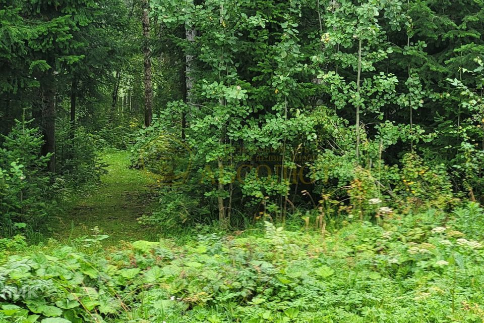 земля городской округ Ревда, посёлок Гусевка фото 6