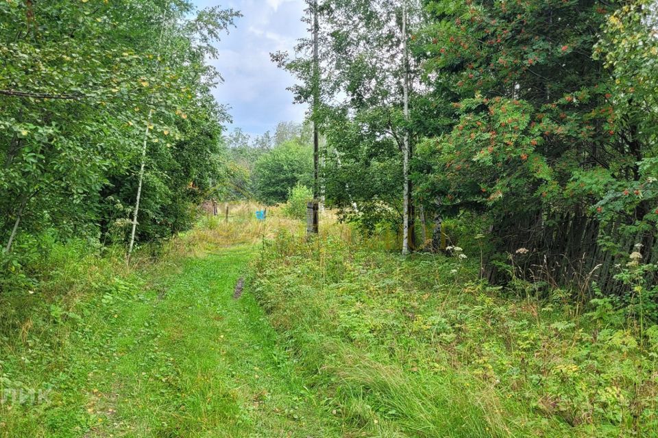 земля городской округ Ревда, посёлок Гусевка фото 6