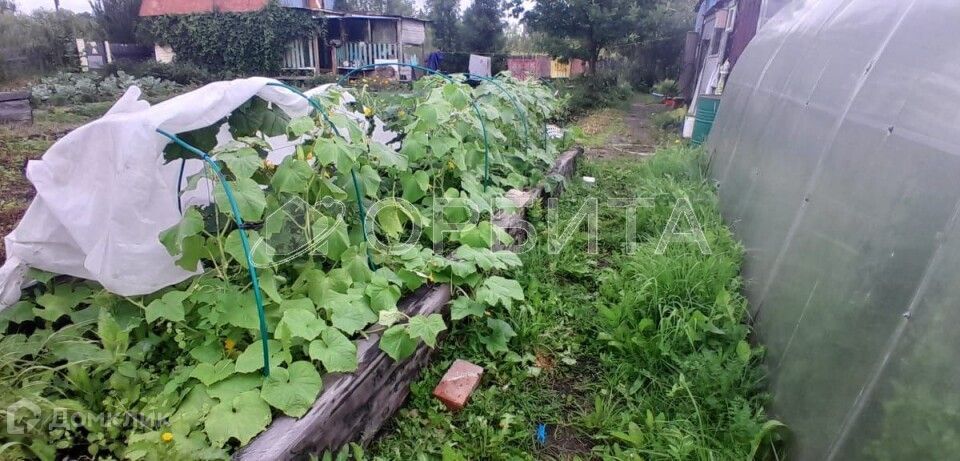 земля р-н Ялуторовский садоводческое некоммерческое товарищество Поле Чудес фото 5