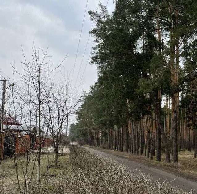 дом городской округ Шебекинский х Ржавец ул Парковая 29 фото 7