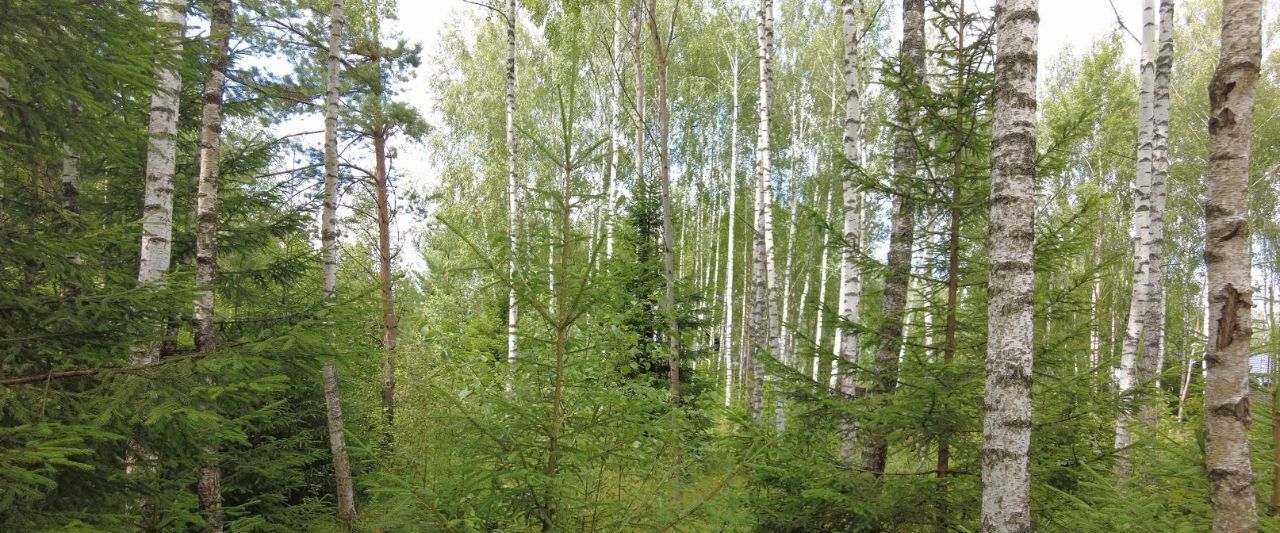 земля г Москва метро Подольск Подолье СНТСН, ул. Персиковая фото 2