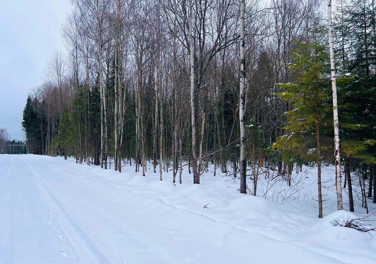 земля городской округ Дмитровский рп Икша 34 км, коттеджный пос. Медведки, 222, Рогачёвское шоссе фото 7