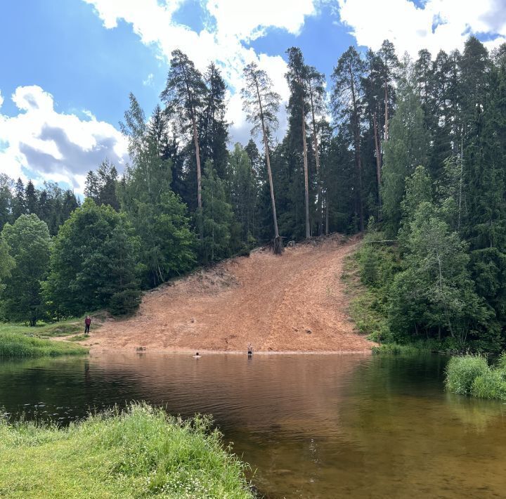 земля р-н Гатчинский Сиверский городской поселок, ул. Николая Чикера фото 2