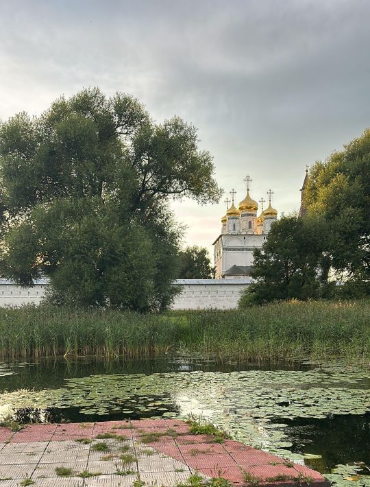 земля городской округ Волоколамский Ритм СНТ, 39 фото 6