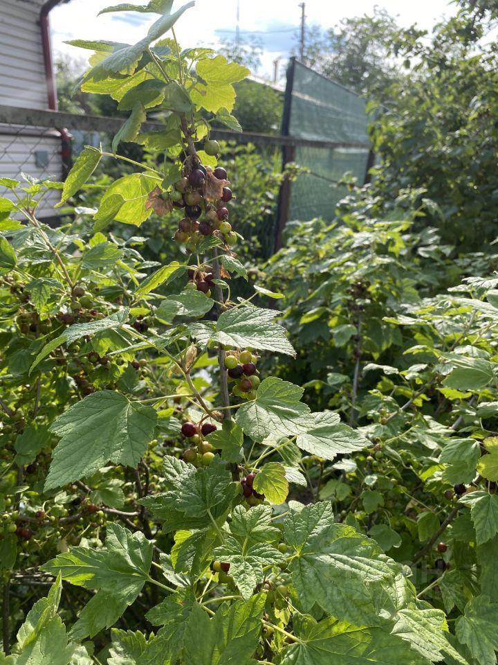 дом городской округ Одинцовский д Малые Вязёмы 1, Большие Вяземы фото 13