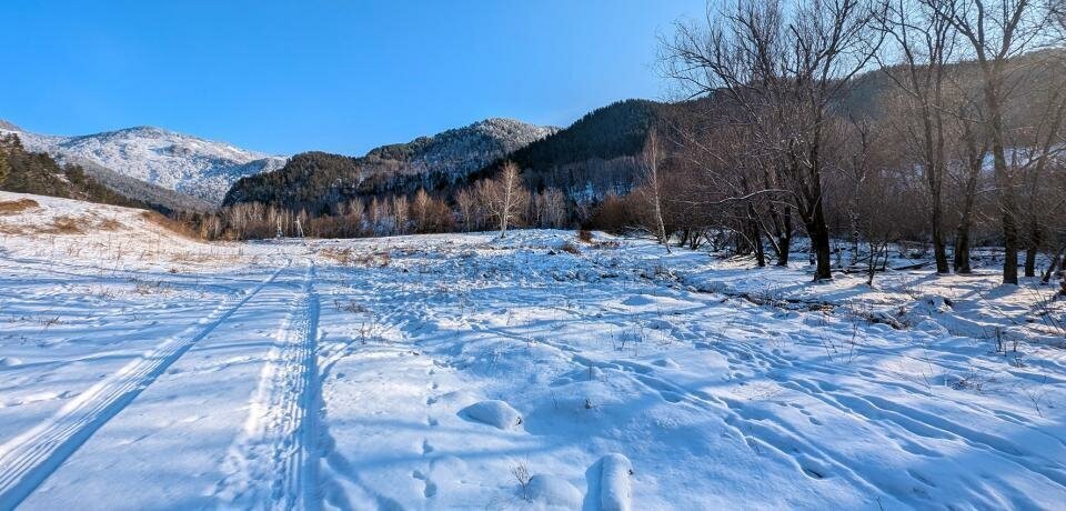 земля р-н Чемальский с Элекмонар Элекмонарское сельское поселение фото 8