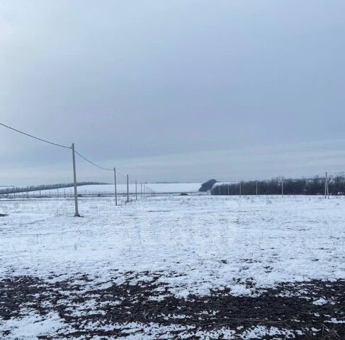 р-н Мясниковский с Большие Салы ул Цветочная фото