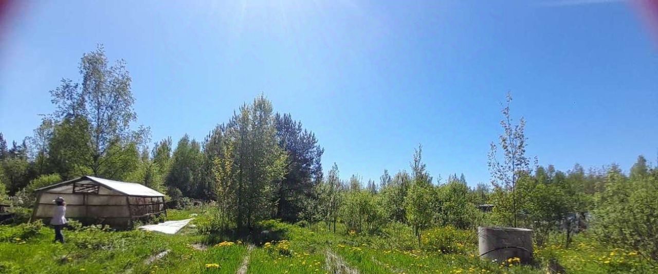 земля р-н Новгородский д Мшага Савинское с/пос, 15 фото 3