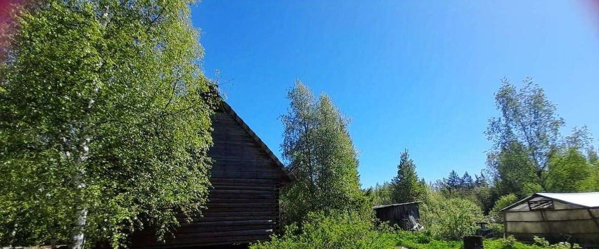 земля р-н Новгородский д Мшага Савинское с/пос, 15 фото 8