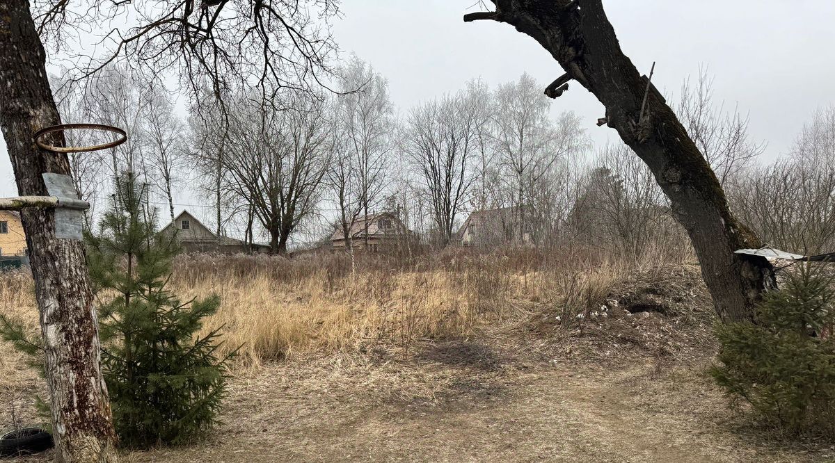 земля городской округ Богородский г Электроугли Железнодорожная, д. Большое Васильево фото 1