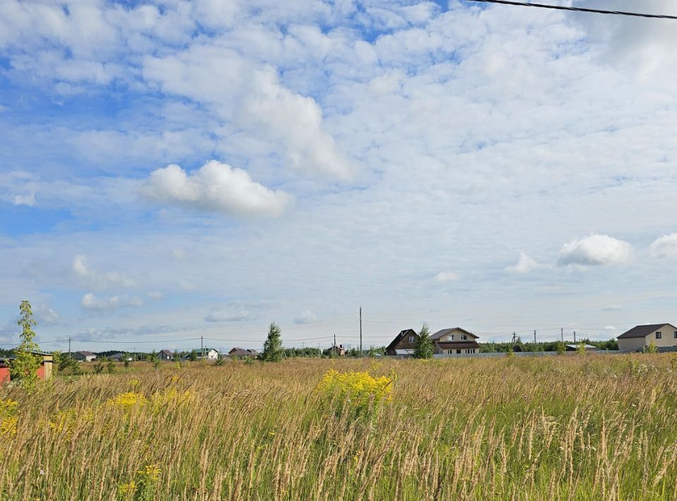 земля городской округ Луховицы п Совхоза Астапово фото 1