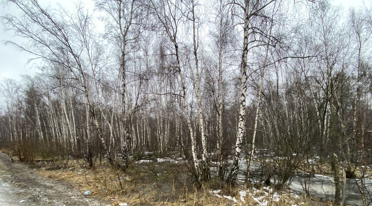 офис г Подольск мкр Львовский Львовский фото 1