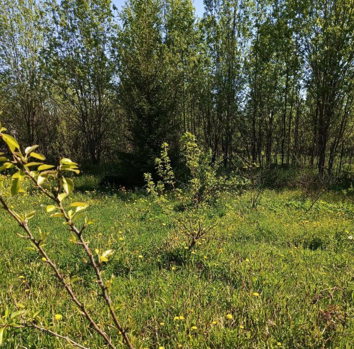 дом р-н Новгородский Панковское городское поселение, № 2 садоводческий массив, Звезда садоводческое товарищество фото 20