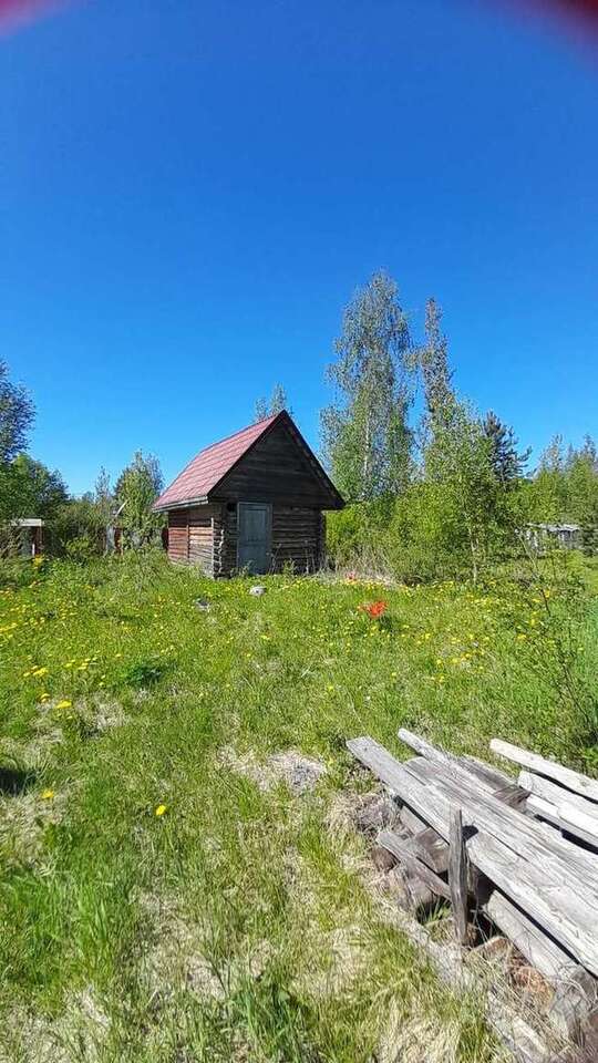 земля р-н Новгородский д Мшага 15я фото 5