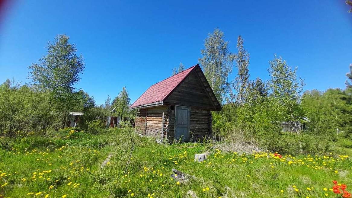 земля р-н Новгородский д Мшага 15я фото 7