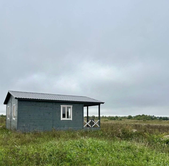 дом р-н Псковский д Ваймицы Логозовская волость фото 18