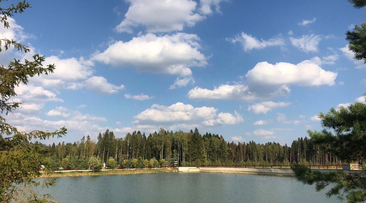 дом городской округ Одинцовский д Семенково Азарово Северное кп, Одинцово, ул. Каштановая, 21 фото 28