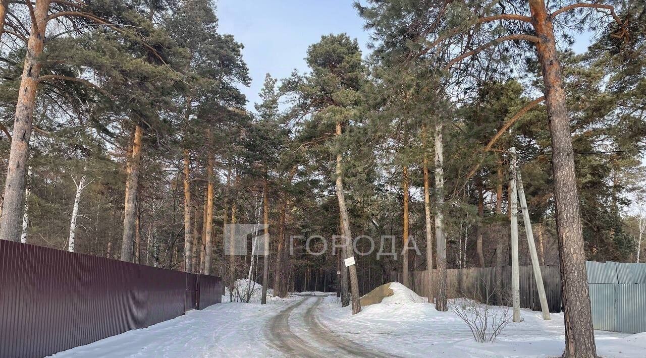 земля г Новосибирск метро Площадь Гарина-Михайловского тер Заельцовский Парк 18б фото 5