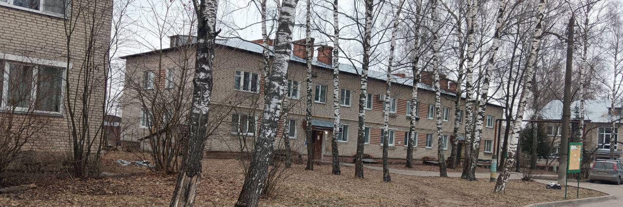 квартира городской округ Богородский п Елизаветино ул Центральная 25 Электросталь городской округ фото 1