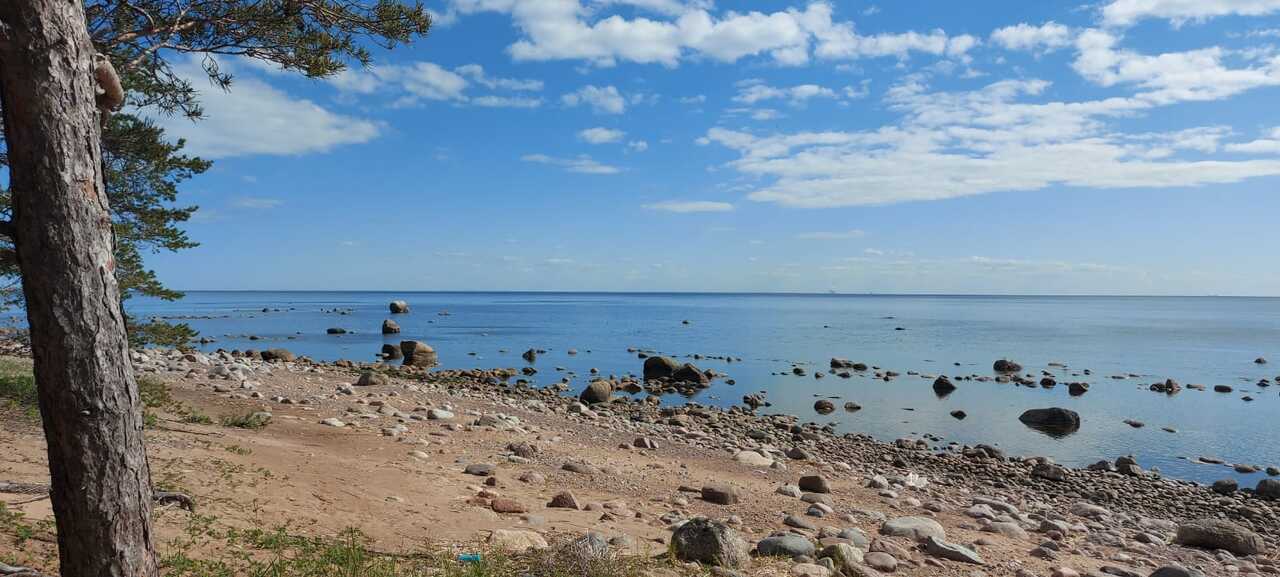 земля р-н Выборгский п Озерки(Краснодолинская) ш Приморское Выборгское шоссе фото 10