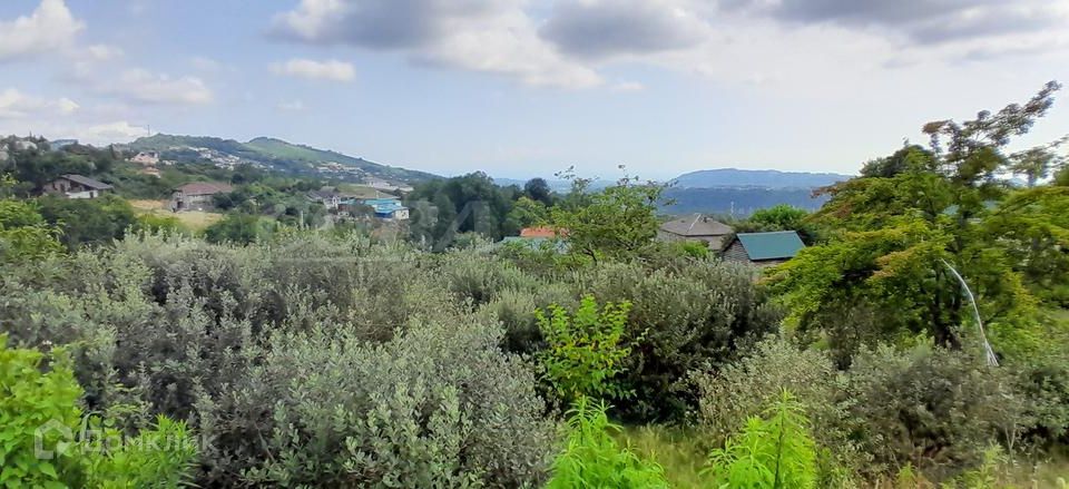 земля городской округ Сочи, село Нижняя Шиловка, улица Прогресс фото 2