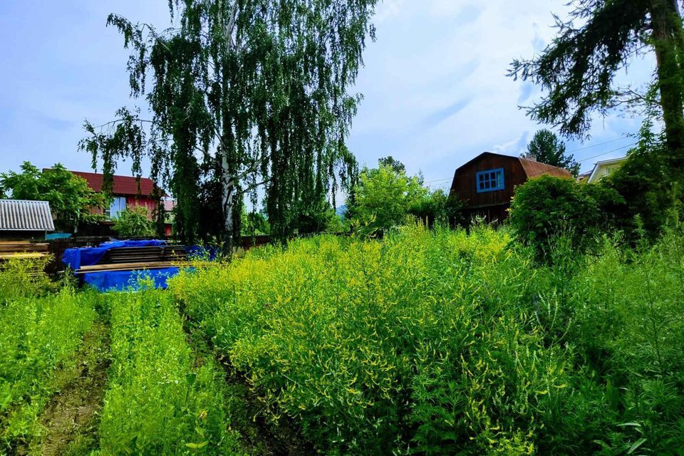 земля городской округ Красноярск, садоводческое некоммерческое товарищество Комбайностроитель-1, Болотная улица фото 10