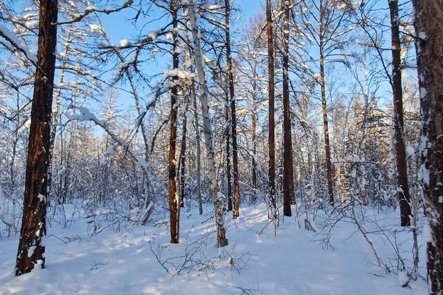 Якутск городской округ, Покровское шоссе 16 километр, 5 фото