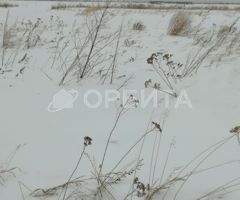 земля г Тюмень ул Олега Антонова Тюмень городской округ фото 4