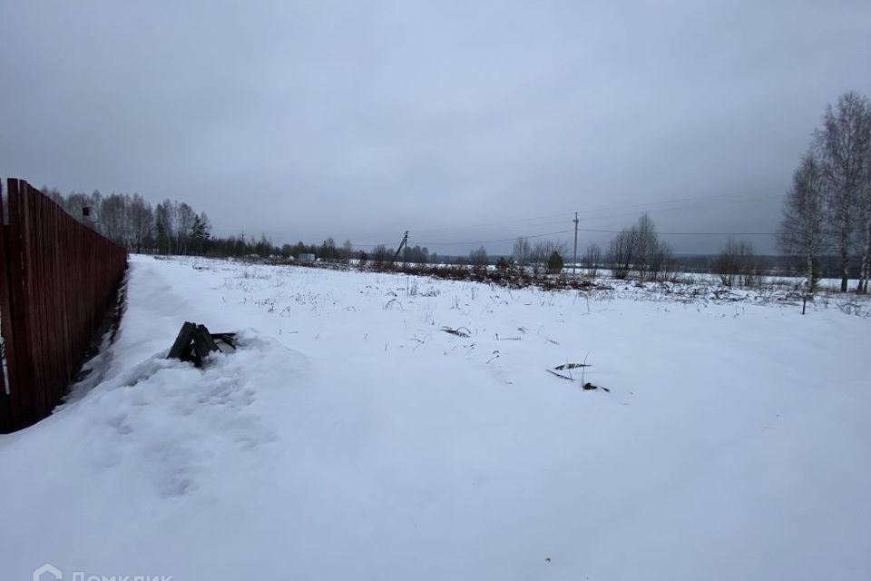 земля р-н Городецкий д. Савино Ковригинский сельсовет фото 3