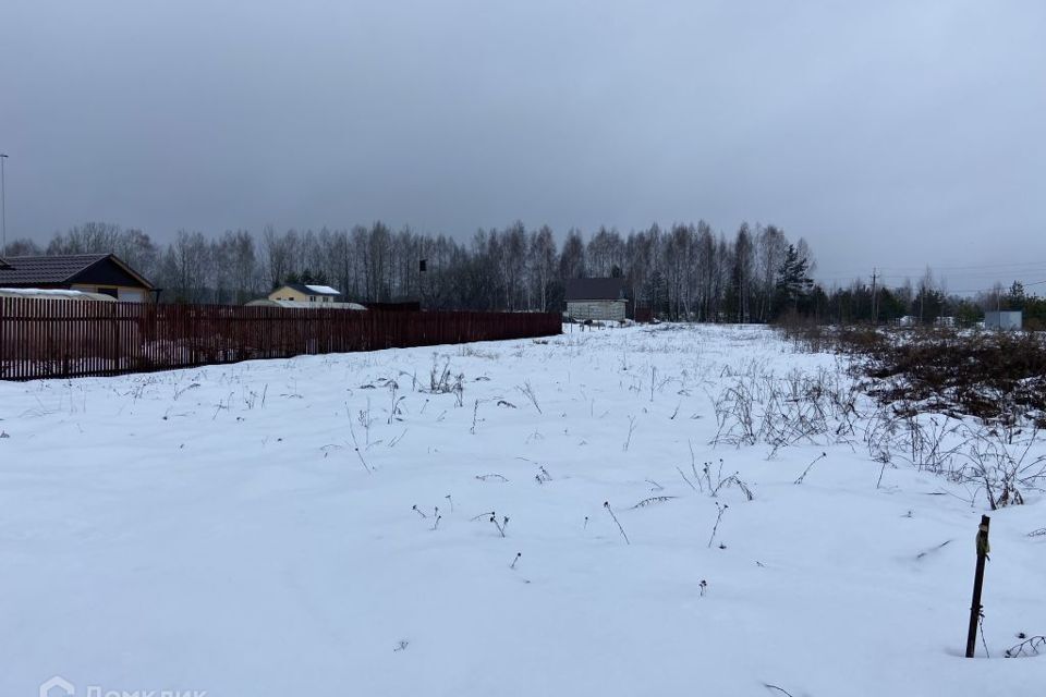 земля р-н Городецкий д. Савино Ковригинский сельсовет фото 2